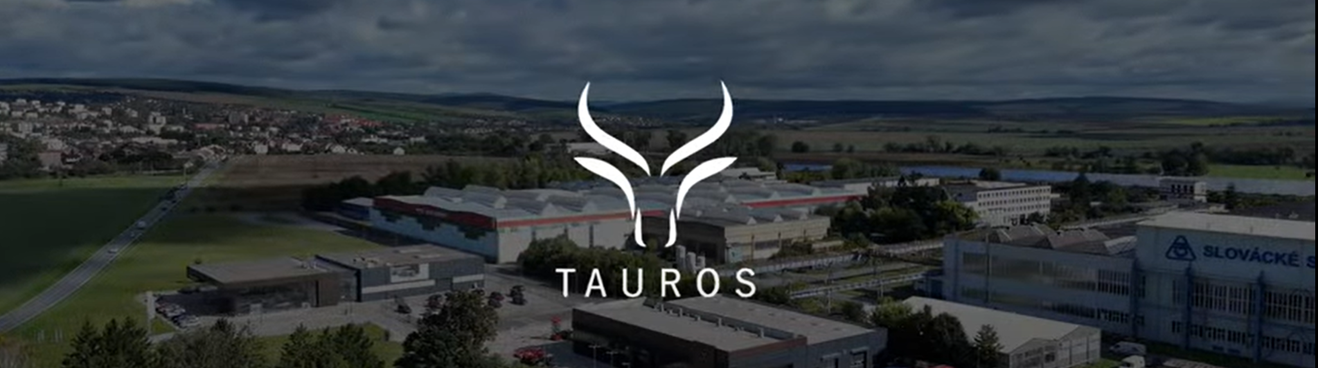 tauros-firma
